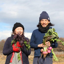 Farm in Hands