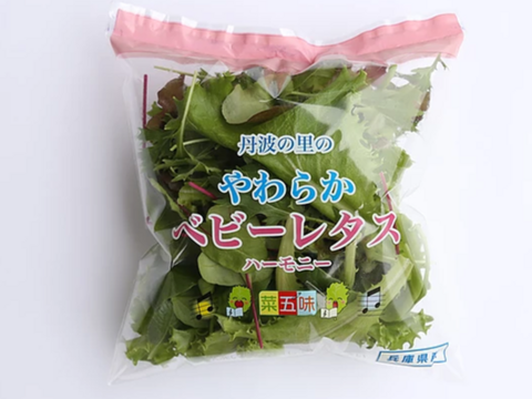【クール便でお届け】丹波の里ベビーレタス“ハーモニー”