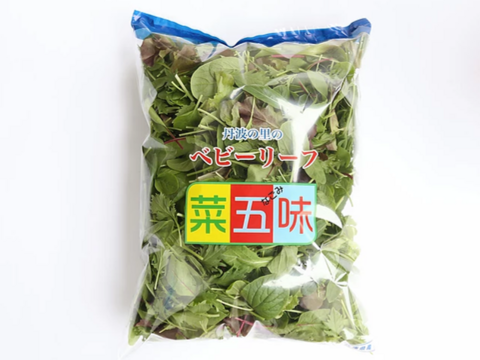 【クール便でお届け】丹波の里ベビーリーフ“菜五味” 500g × 2袋