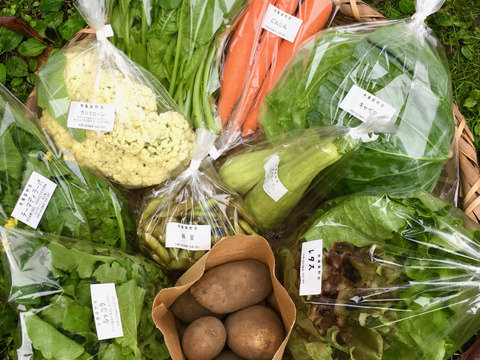 【無農薬】採れたての旬の野菜*大(7-10品目)