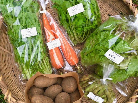 【無農薬】採れたての旬の野菜*小(5-8品目)