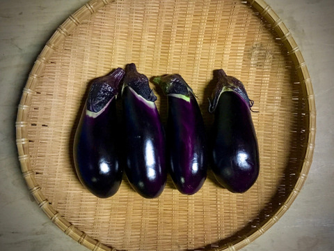 真黒(しんくろ)ナス1kg