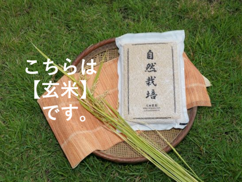 ※2017年産につき特別価格【名水に育まれた自然栽培米】『元田旭』玄米 5㎏