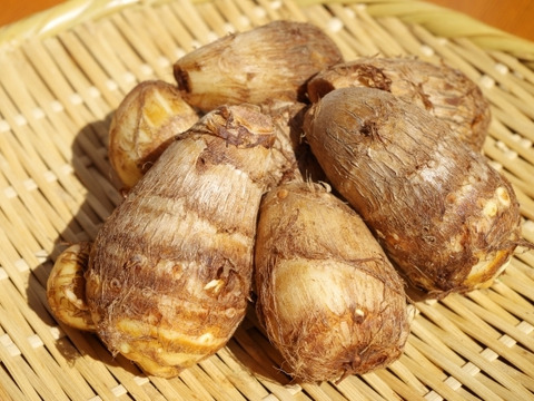 ねっとり&モチモチ里芋(1kg)