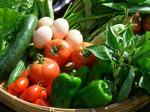【お試し】卵ソムリエの放し飼い自然卵4個と 旬の無農薬野菜2種の セット