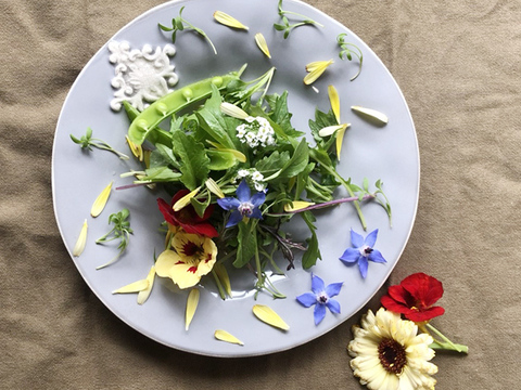 北八ヶ岳山麓よりお届け*花とハーブと葉野菜の週末サラダセット