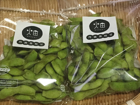 【受付期間10月1日〜10月15日】「畑家族」丹波黒枝豆250g×2袋入