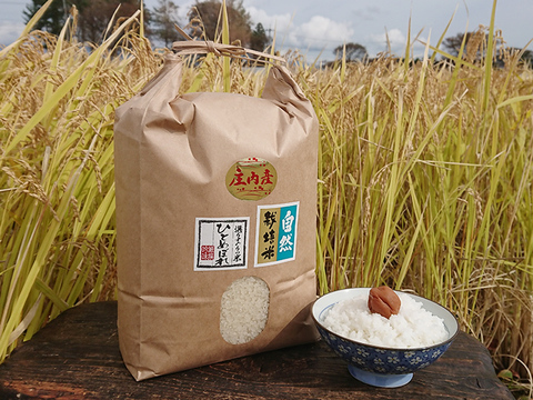 【7分つき精米 | 20kg】米の旨味たっぷり 自然栽培米 ひとめぼれ