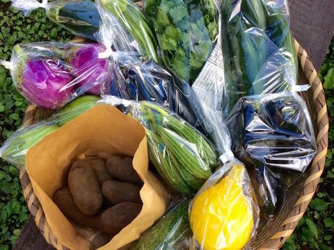 【無農薬】採れたての旬の野菜*小(5-8品目)