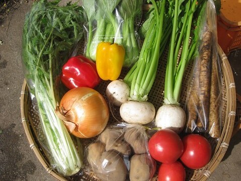 旬!季節のおまかせ野菜BOX