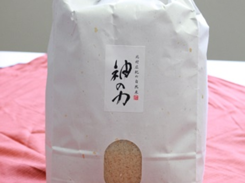 29年度産「神の力」白米5kg
