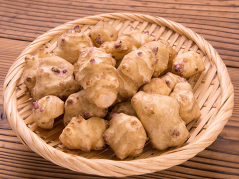 【無肥料・無農薬栽培】ほっこりな菊芋(500g)