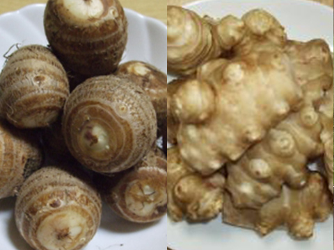 自然農法*甘い菊芋とホクホク赤里芋のセット(各500g)