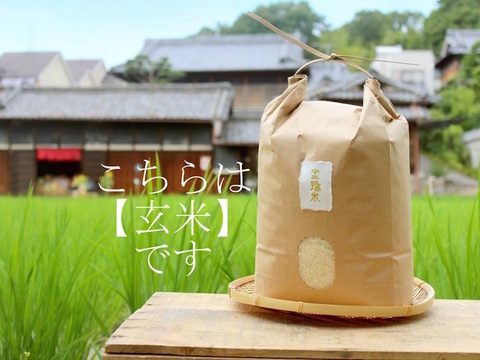 ※10月末頃販売開始【金鵄米/玄米】冷めても美味しいヒノヒカリ きんしまい(5kg)