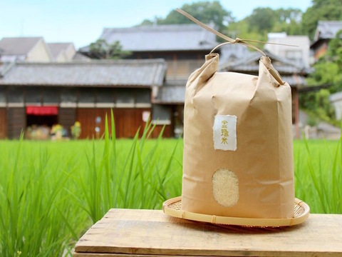 【金鵄米/白米】冷めても美味しいヒノヒカリ きんしまい(10kg)