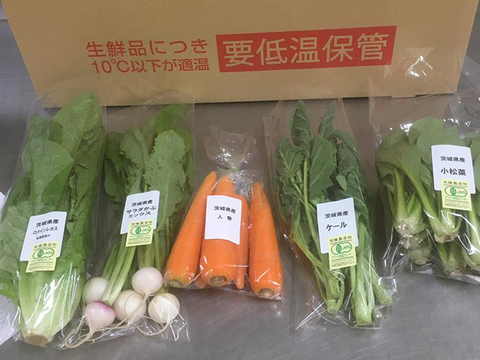 【毎週更新】筑波山の麓からお届け!有機野菜セット(5品)
